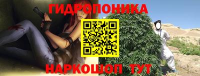 гашиш Новодвинск