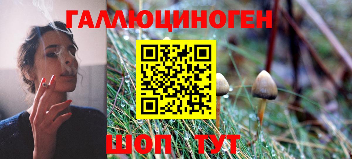 Галлюциногенные грибы Magic Shrooms  Галлюциногенные грибы Magic Shrooms  Ульяновск  Вход с VPN 